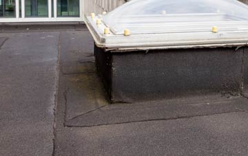 disadvantages of Burnside Of Duntrune flat roofs