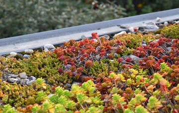 the cost of Burnside Of Duntrune green roof installation