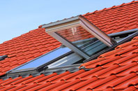 Burnside Of Duntrune roof window